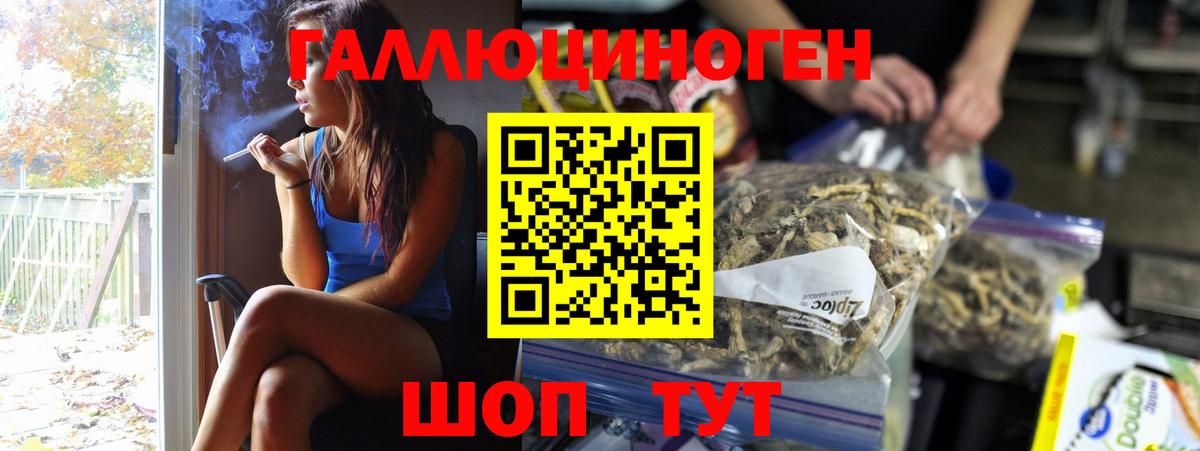 Псилоцибиновые грибы Psilocybe  Вход с VPN  Заинск  Галлюциногенные грибы прущие грибы 